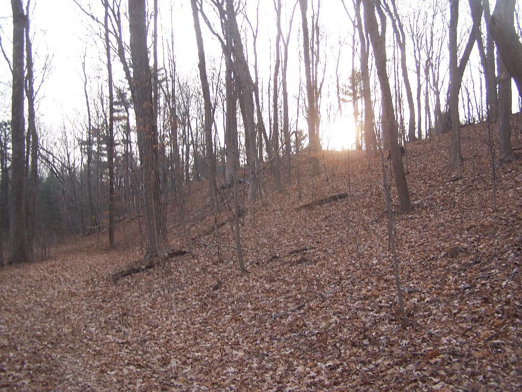 Photo: Sun Over Hill