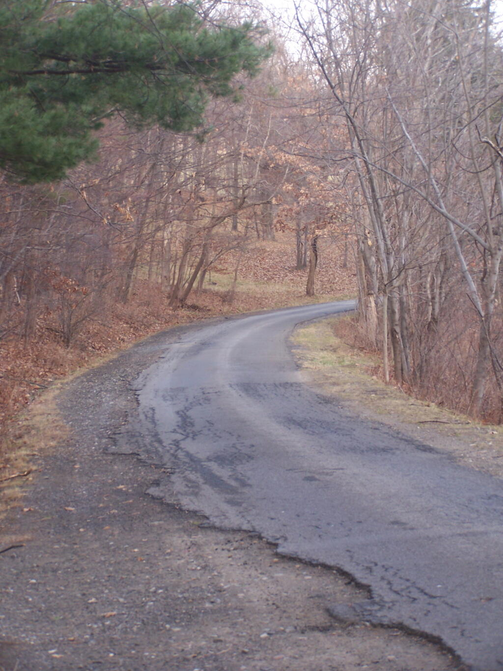 Photo: Rough Road