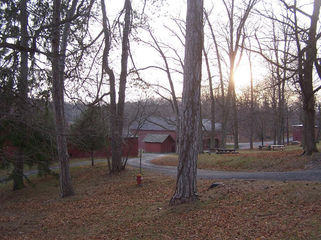 Photo: Olana Farm