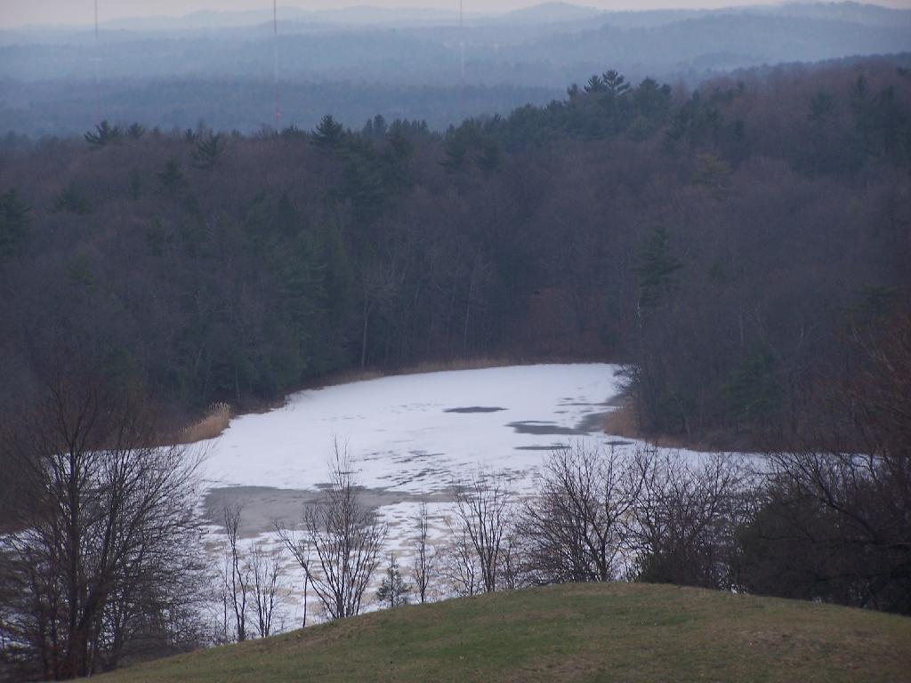 Photo: Pond