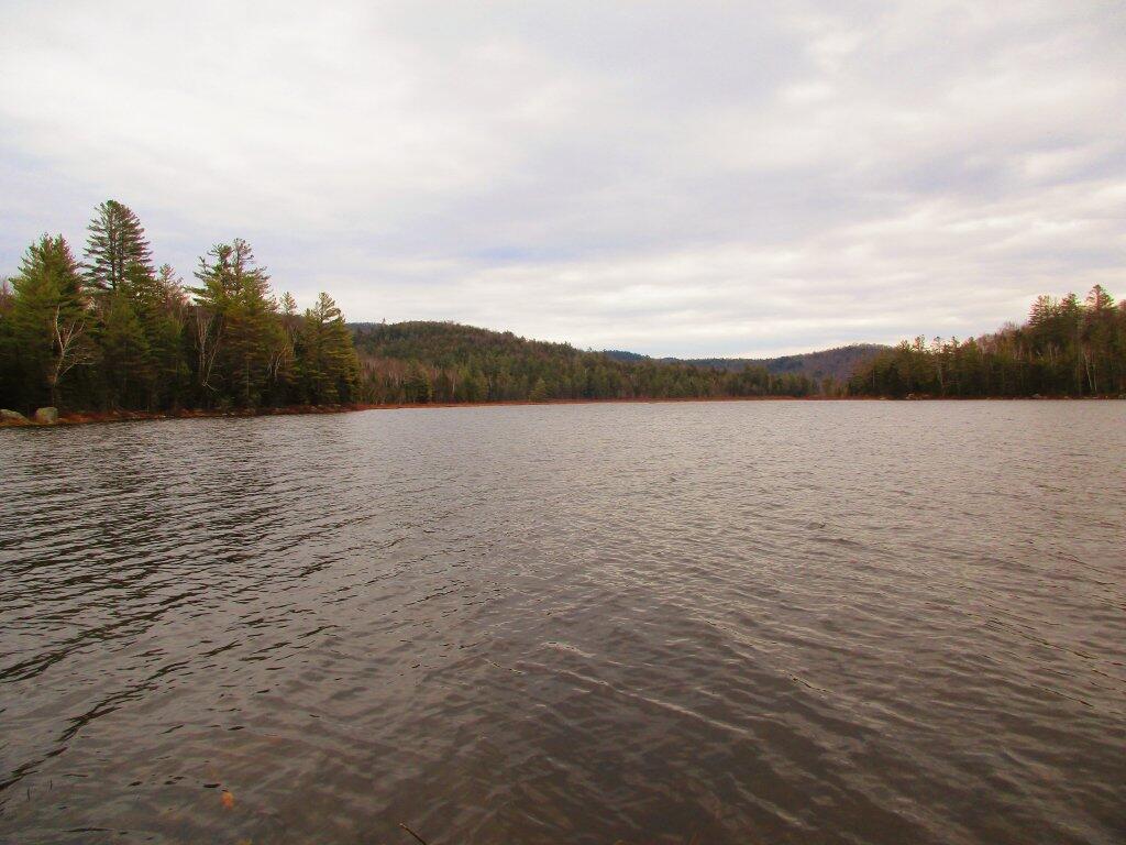 Photo: Cod Pond