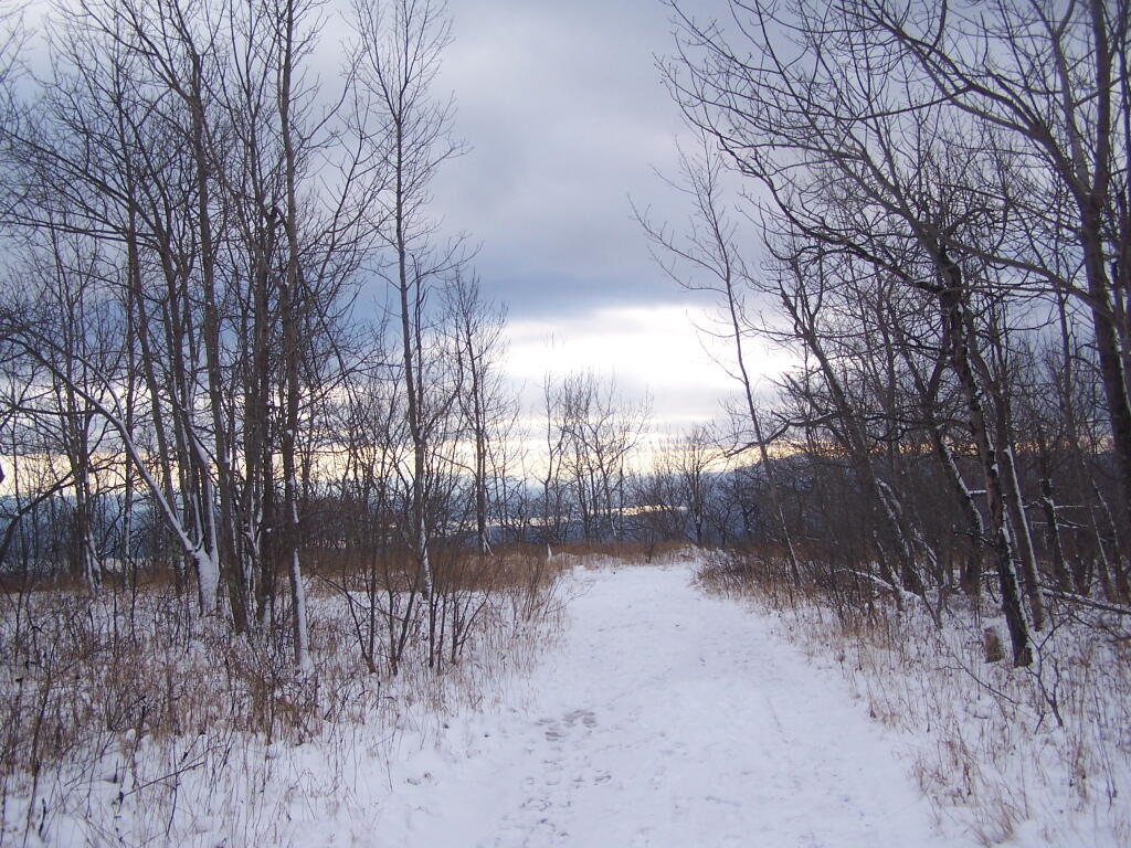 Photo: Overlook Mountain Trail