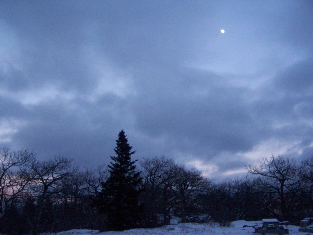 Photo: Moon Shines On Down