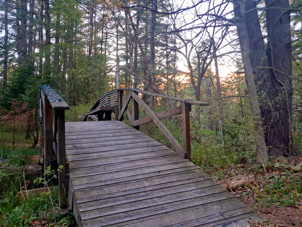 Photo: Bridge [Expires May 17 2026]