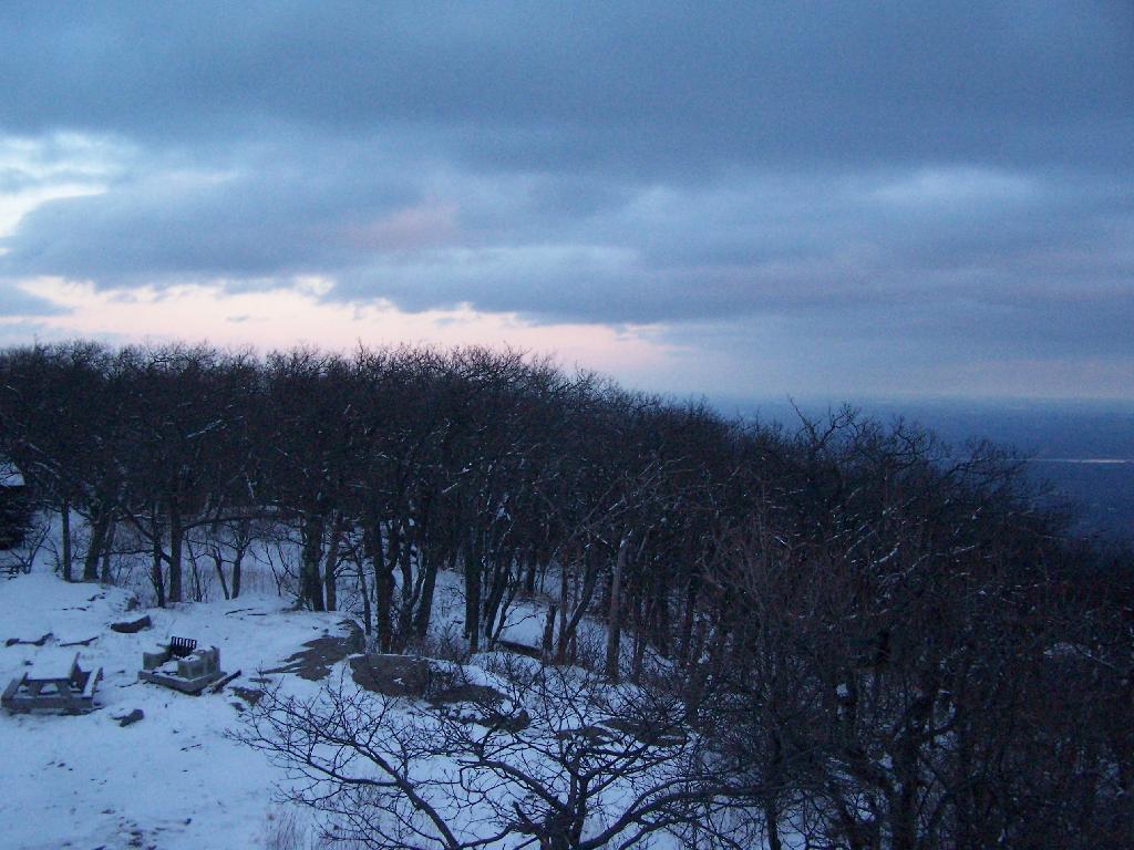 Photo: Trees on Overlook