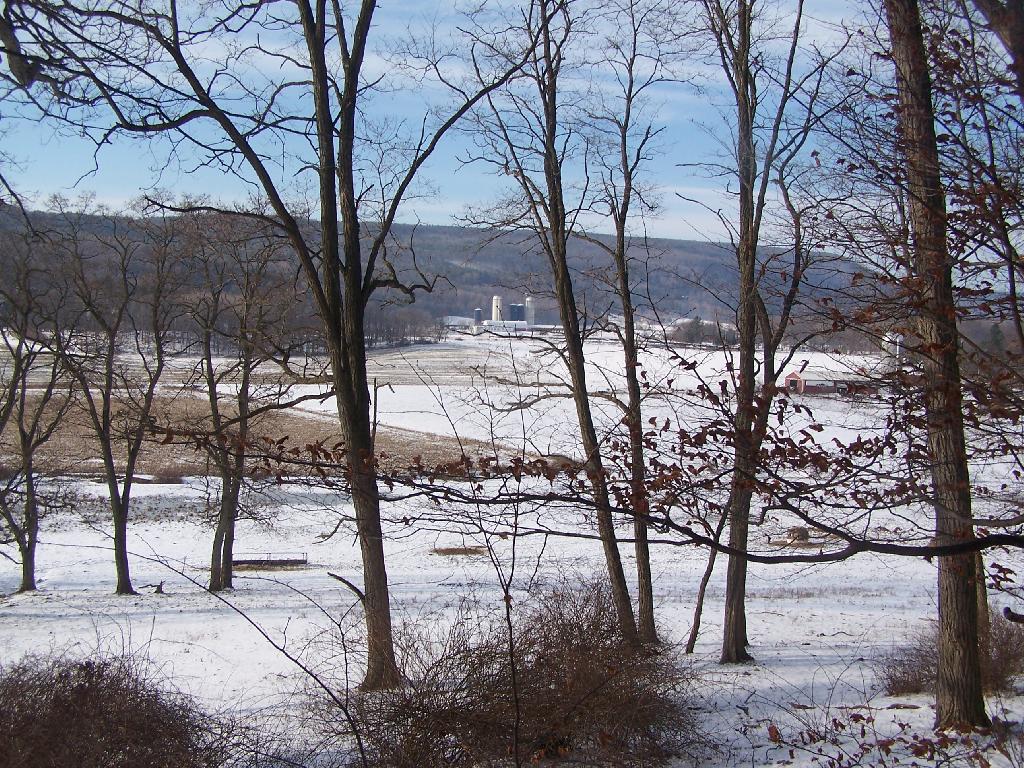 Photo: Looking out Clarkskville Farm Fields