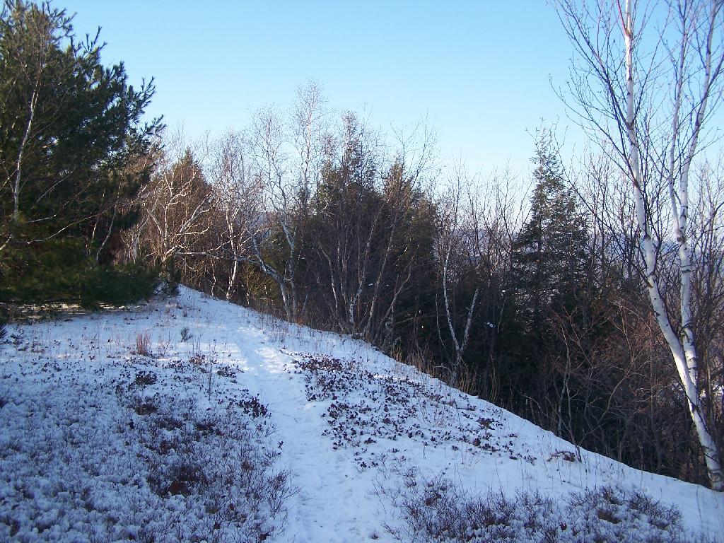 Photo: Along Edge of Bennett Hill