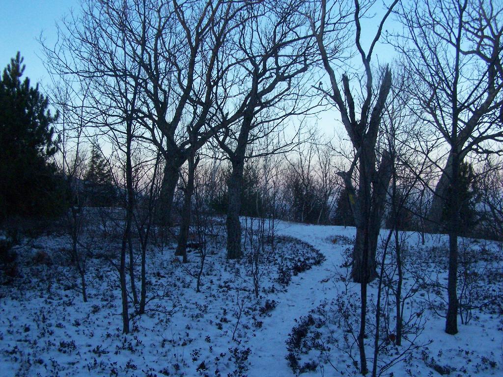 Photo: Darking Skies Along Trail