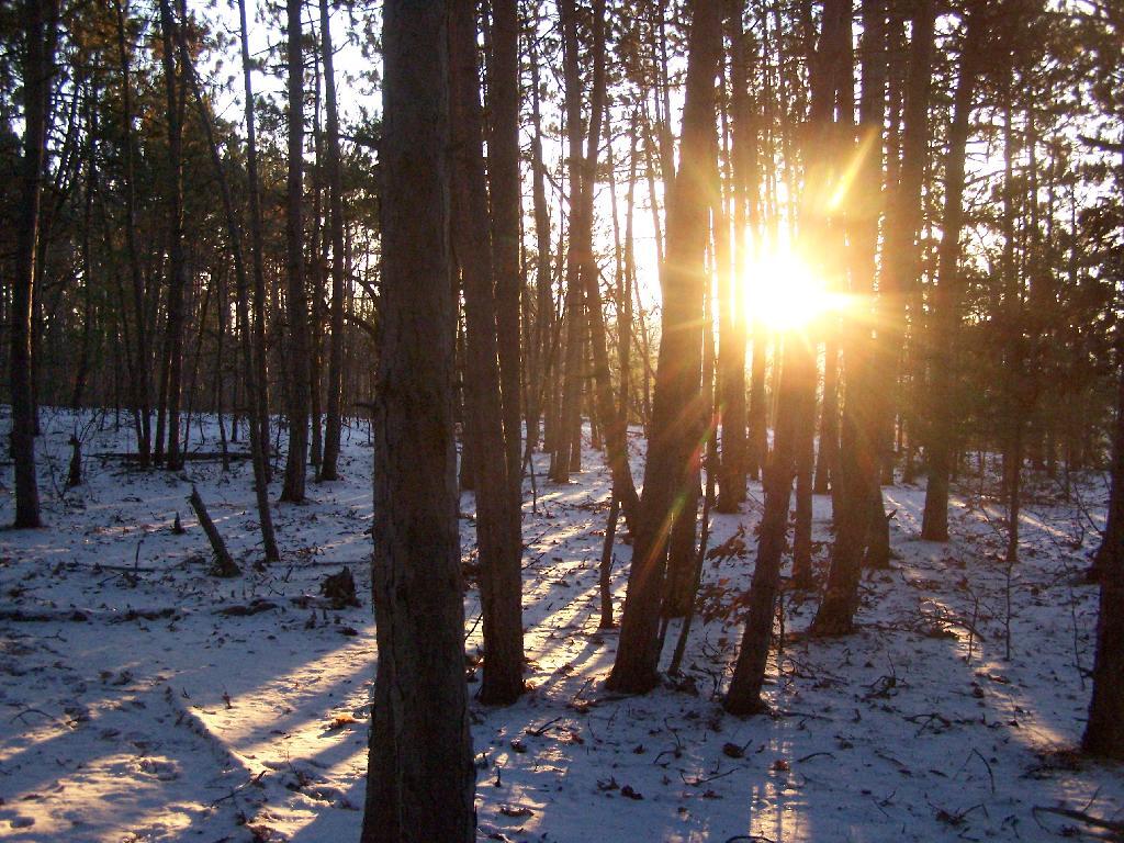 Photo: Sun Further Descends