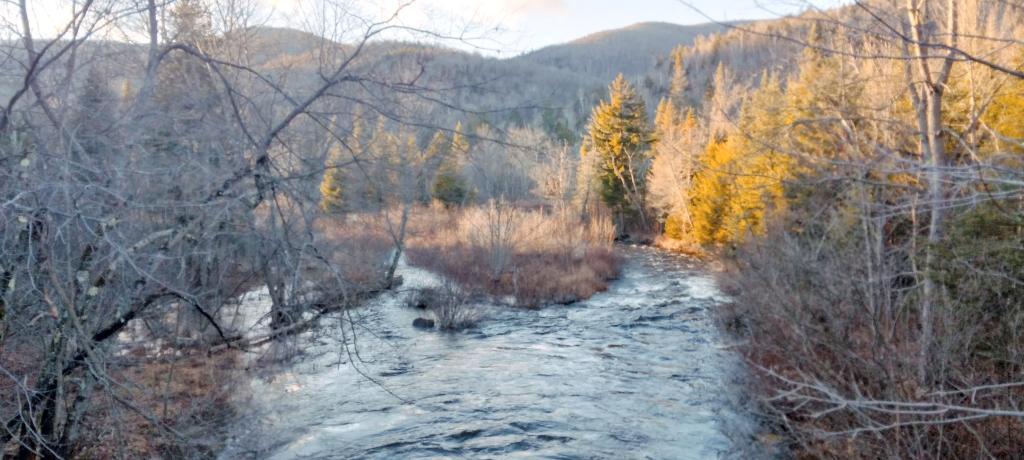 Photo: Stewart Creek Into Scanadaga River