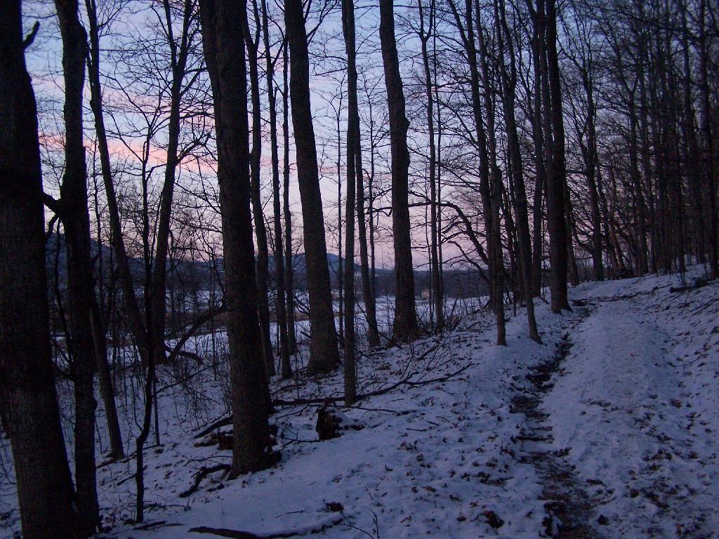 Photo: Along the Trail