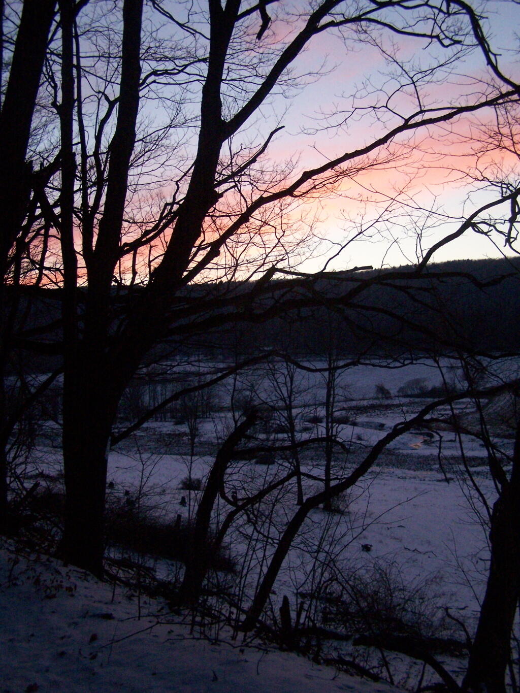 Photo: Blues and Reds After Dark