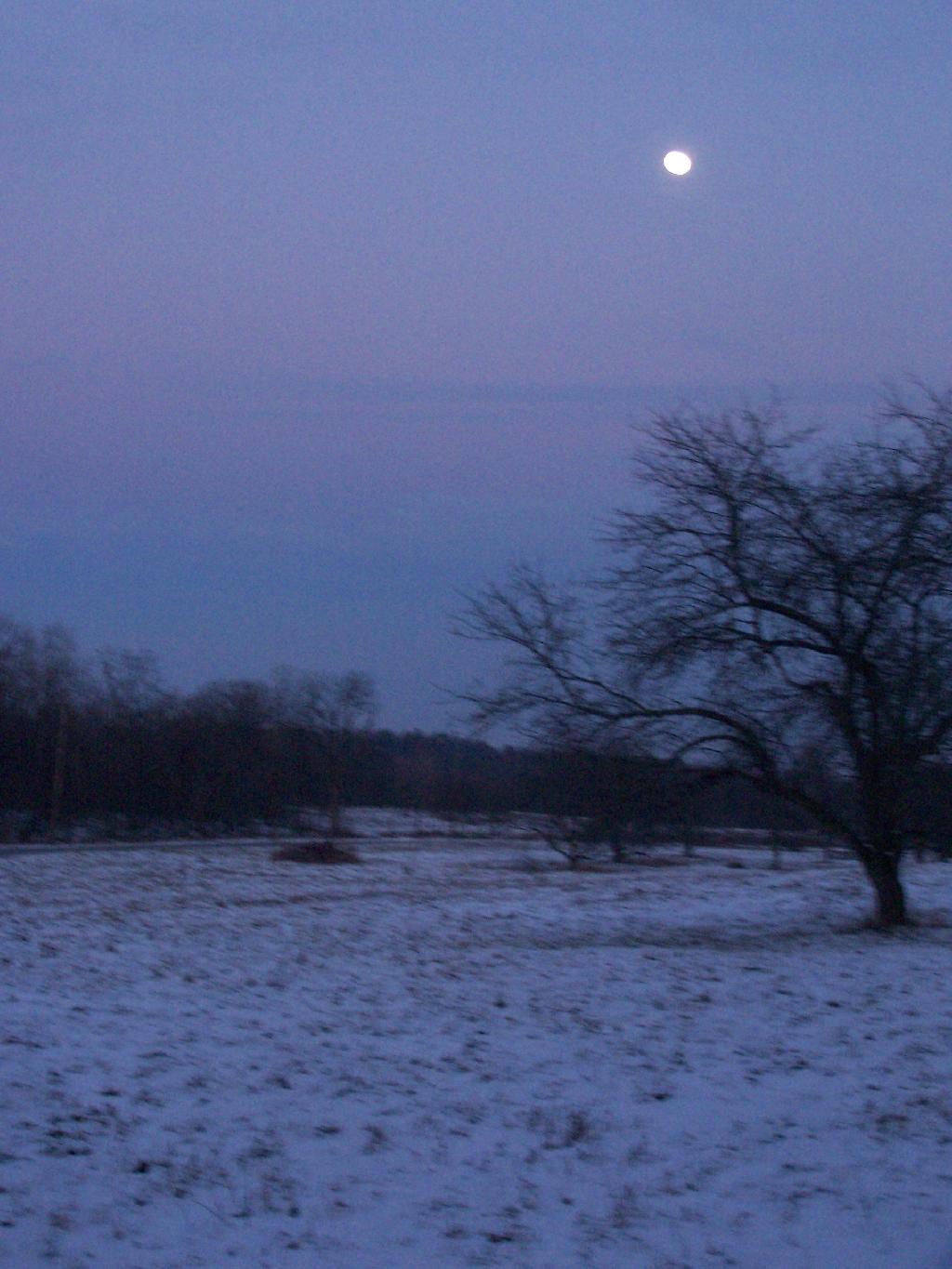 Photo: Almost Full Moon