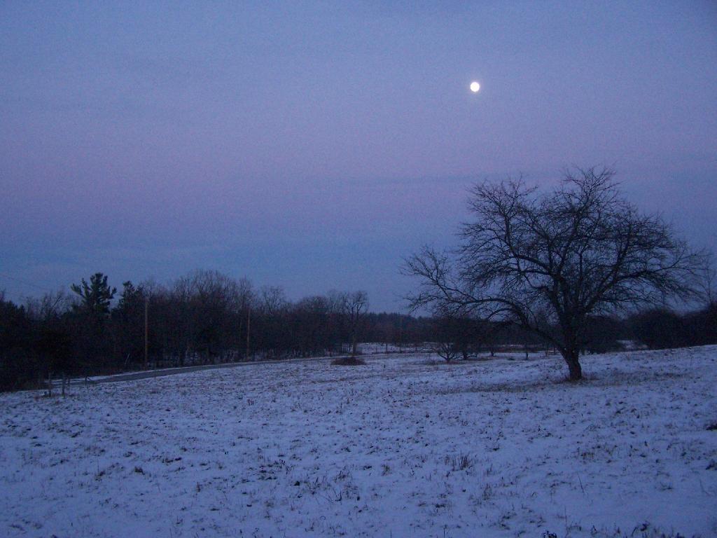 Photo: Moon Over Old Orchard