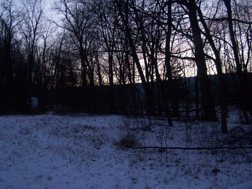 Photo: After Dark at Parking Area