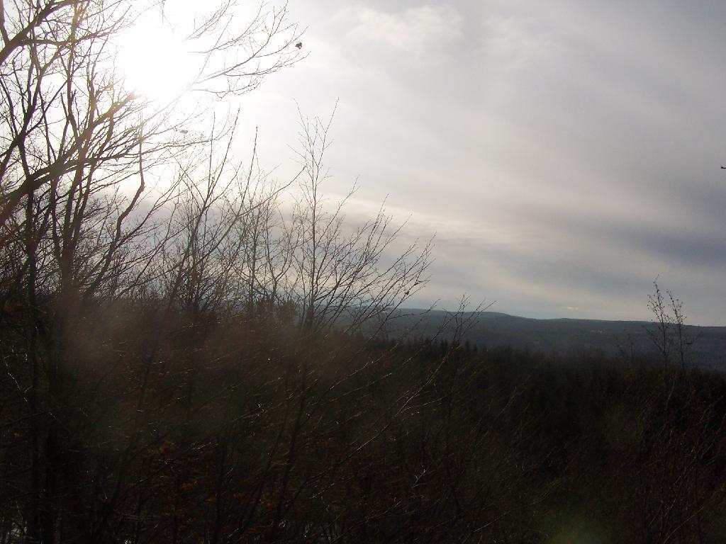 Photo: Looking Off Irish Hill