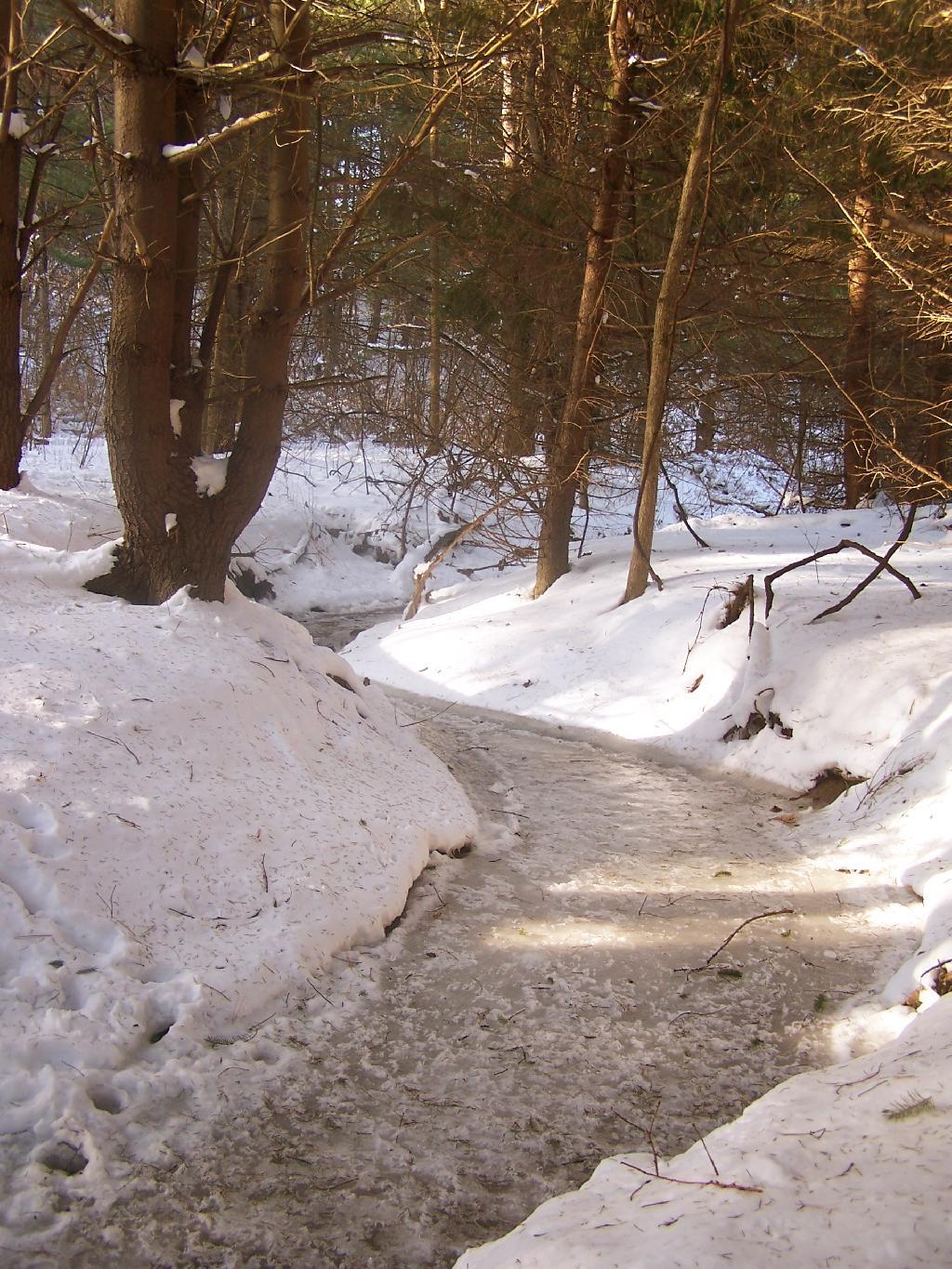 Photo: Frozen Creek
