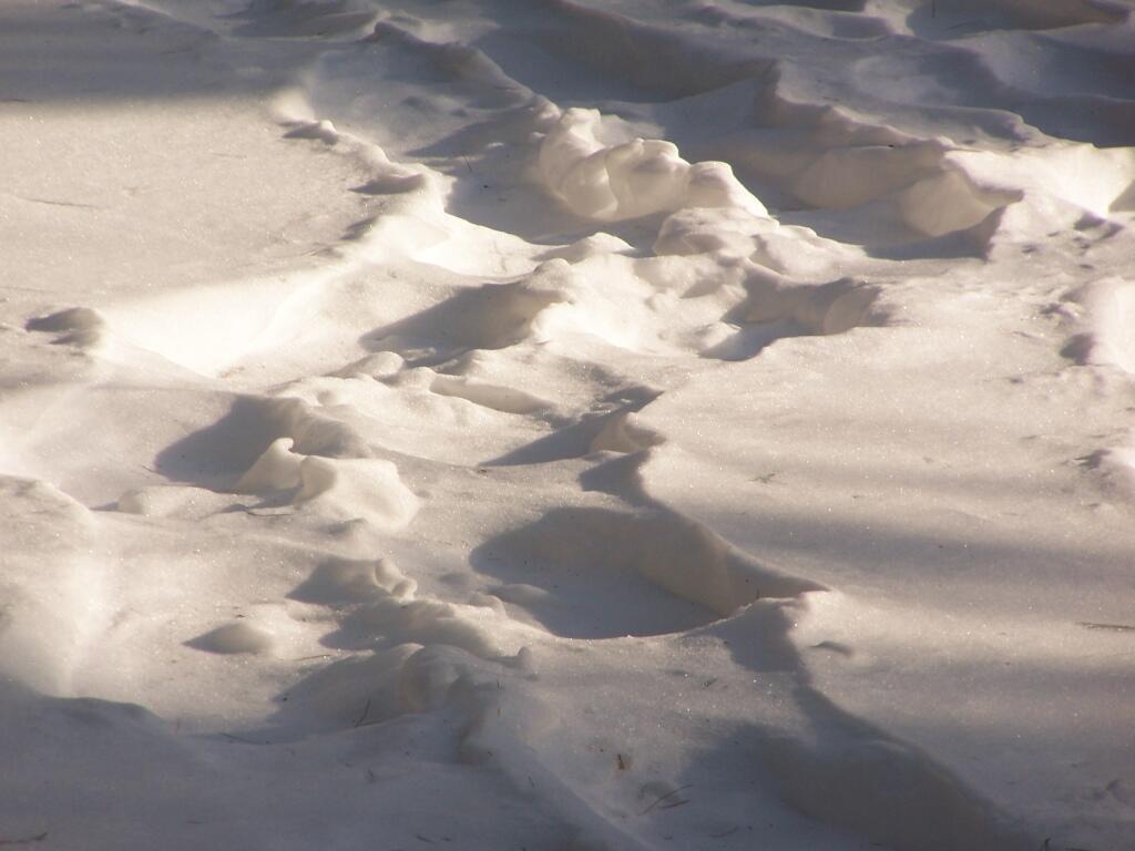 Photo: Bigfoot Prints in the Snow