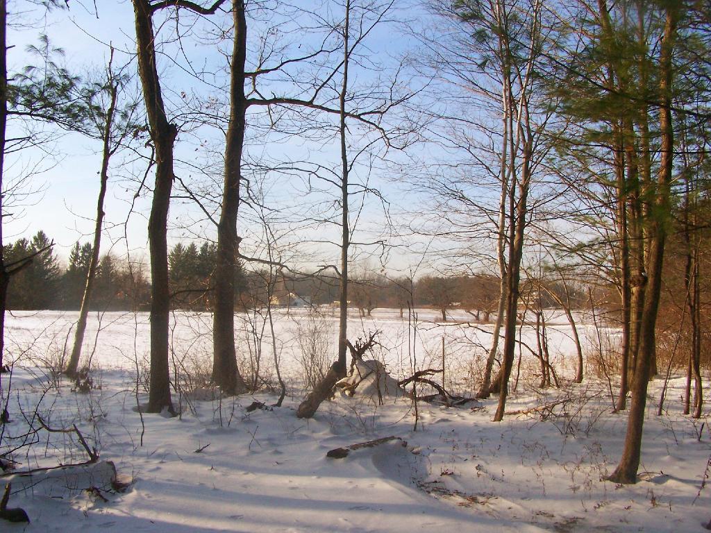 Photo: Horse Pastures Photo: Horse Pastures