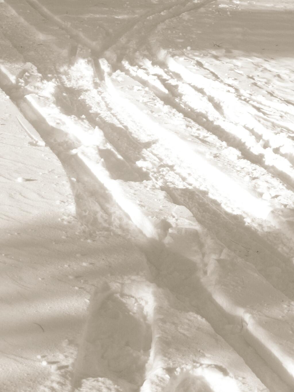Photo: Snowmobile and Ski Paths Diverge