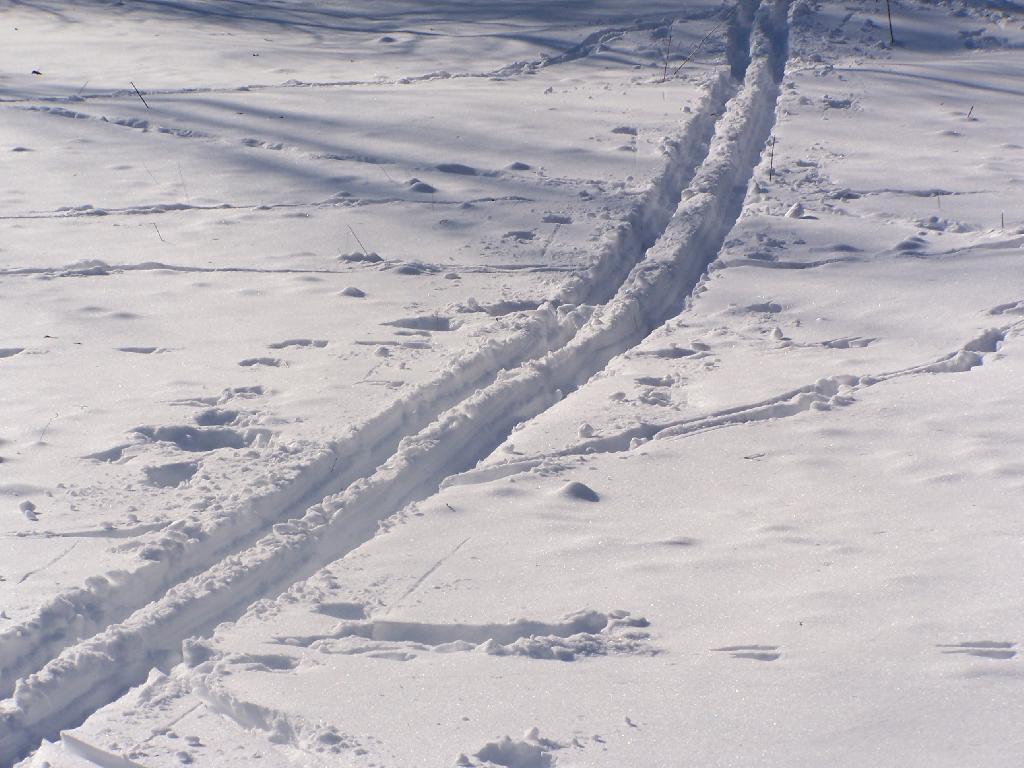 Photo: Ski Trail