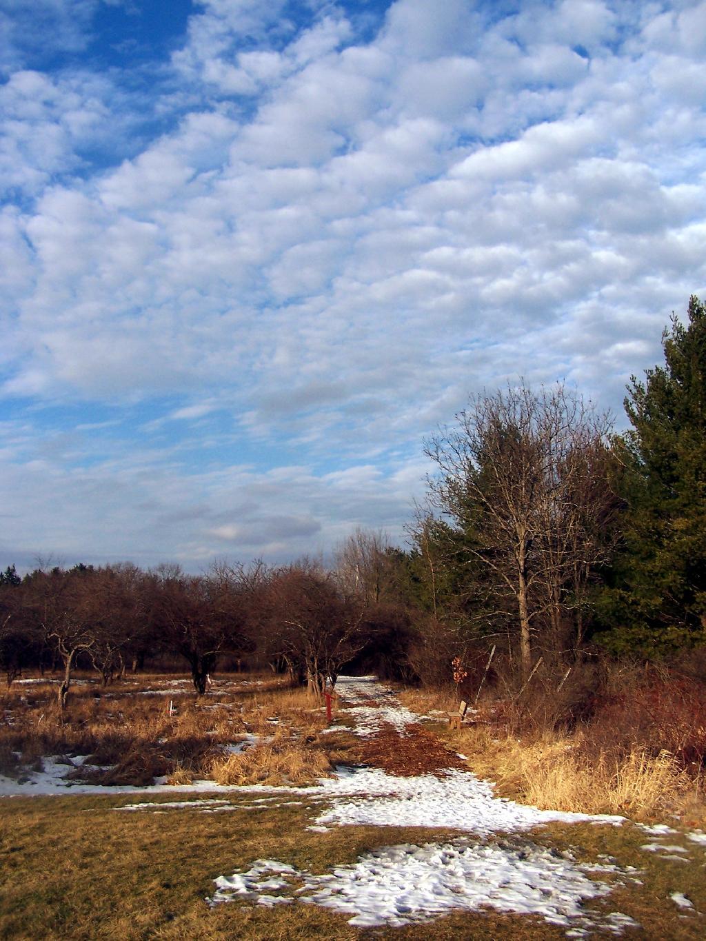 Photo: Along the Old Apple Orchard