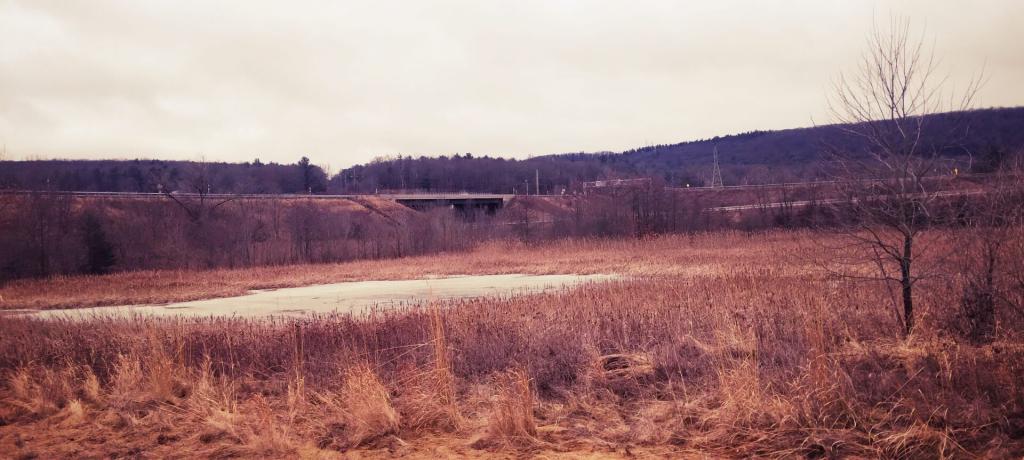 Photo: Thruway Interchange Photo: Thruway Interchange
