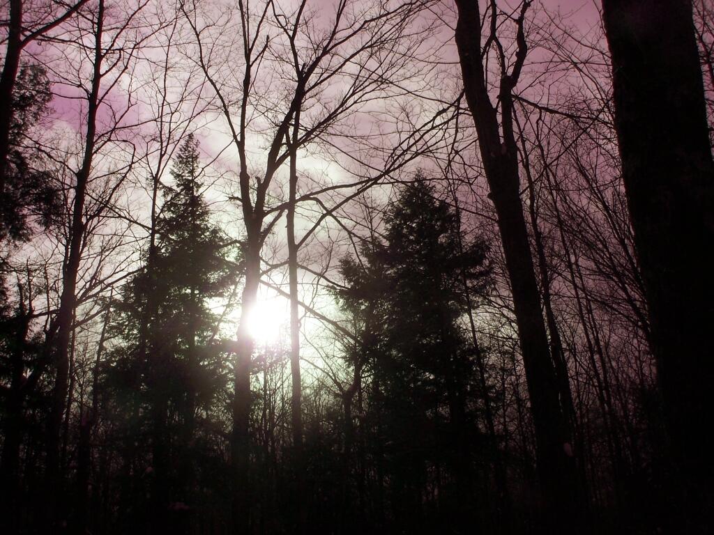 Photo: Sun Through Hazy Ski