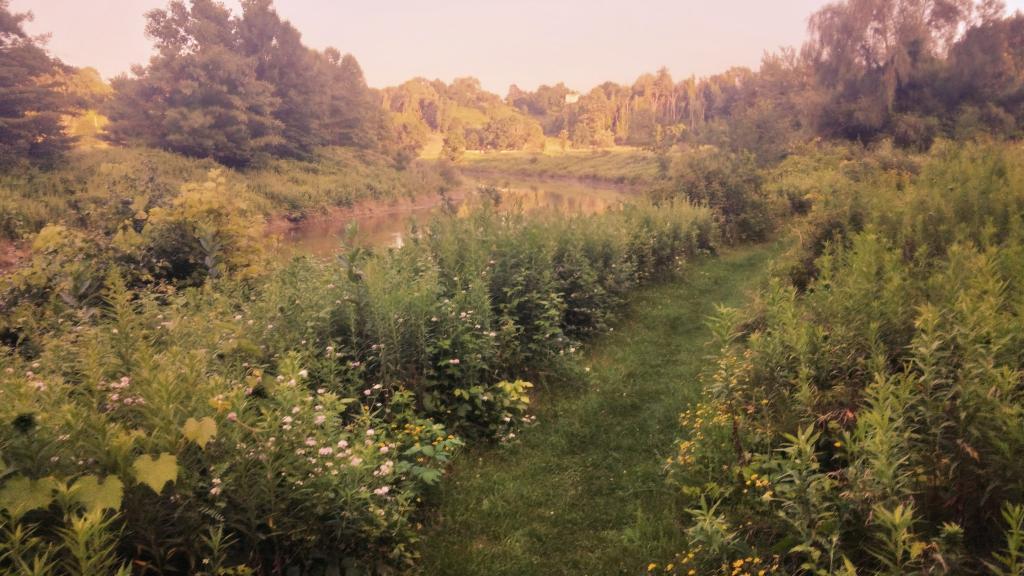Photo: Evening Down in the Ravine