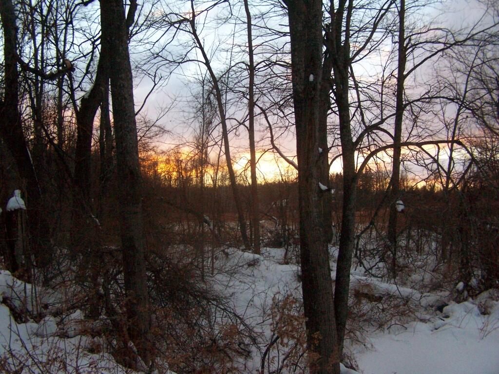 Photo: Colors After Sunset