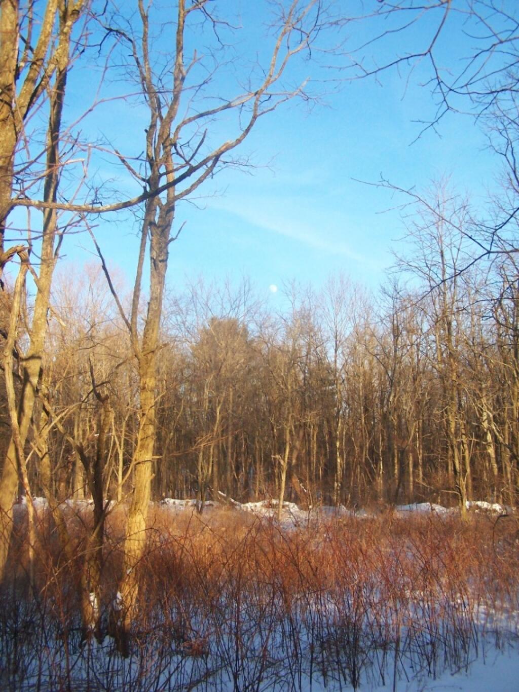 Photo: Backfield