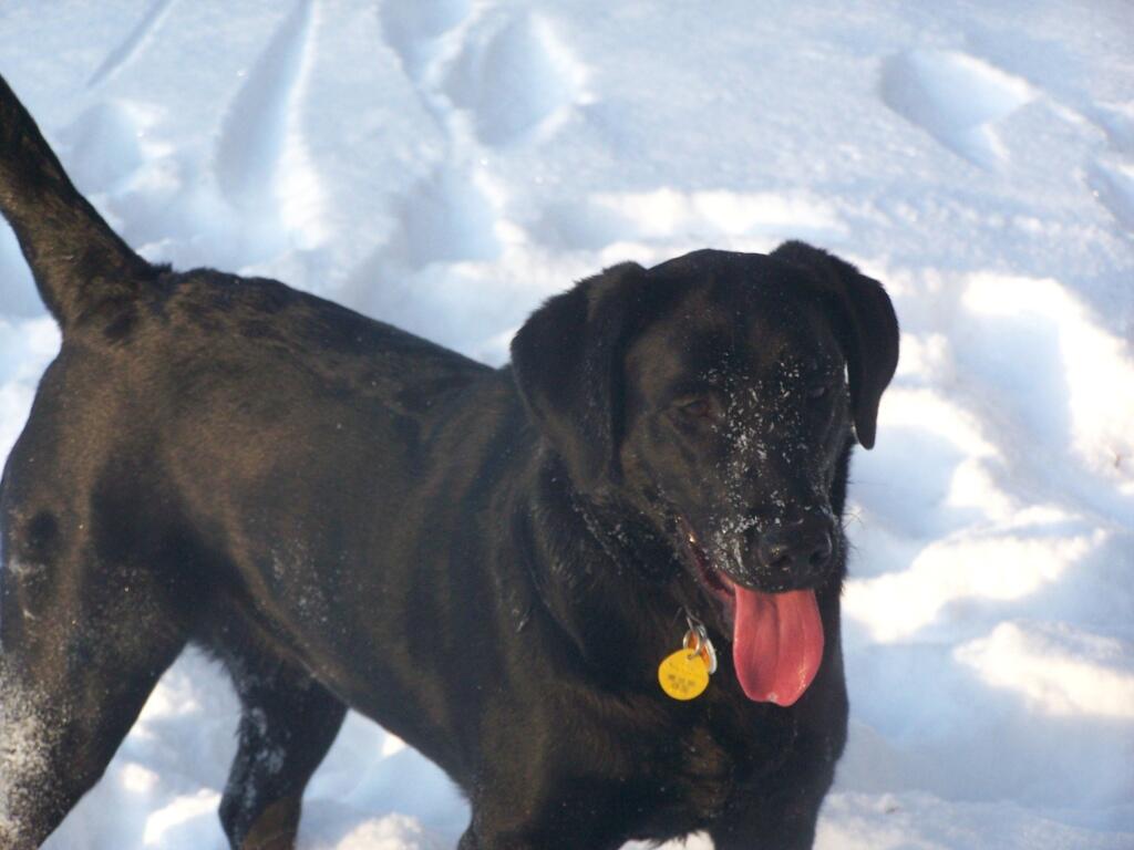 Photo: Abbie Covered with Snow