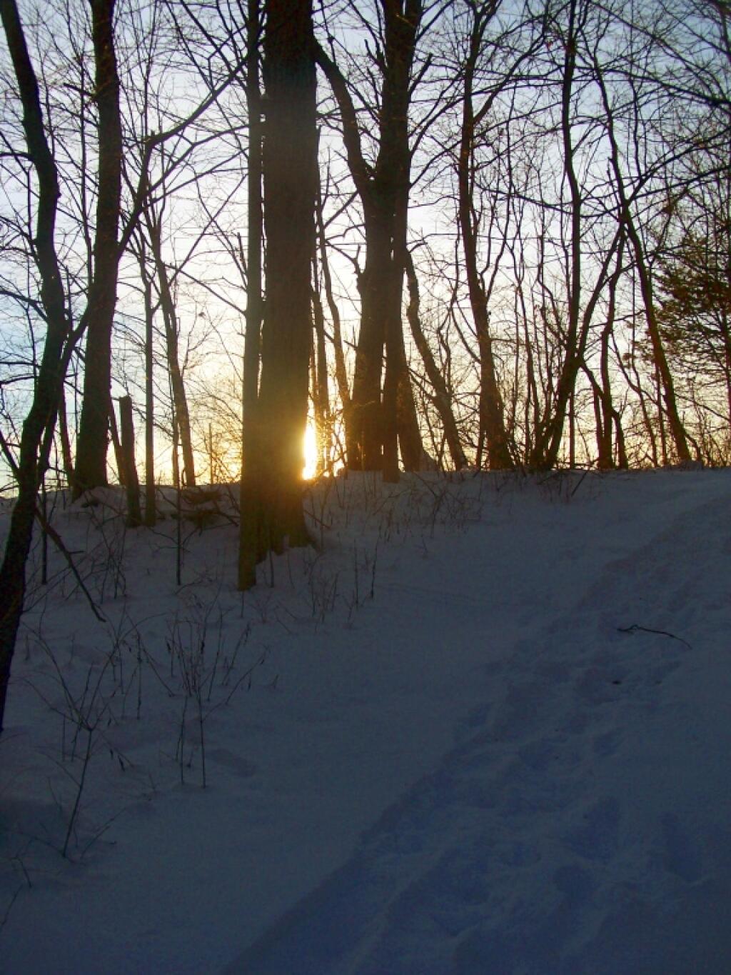 Photo: Dirt Path Up Hill