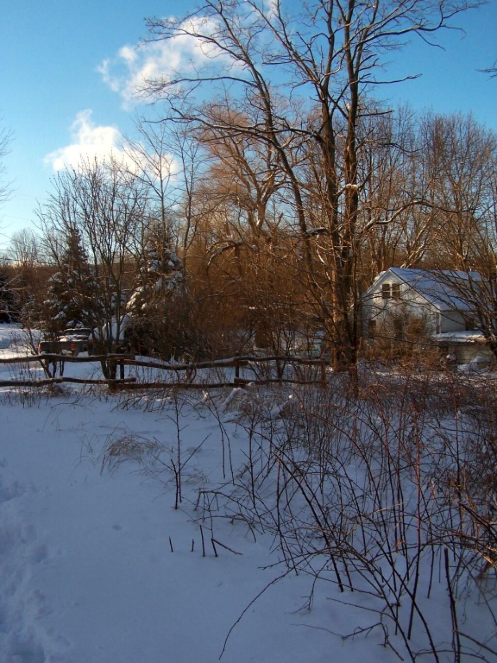 Photo: Former Goat Yard