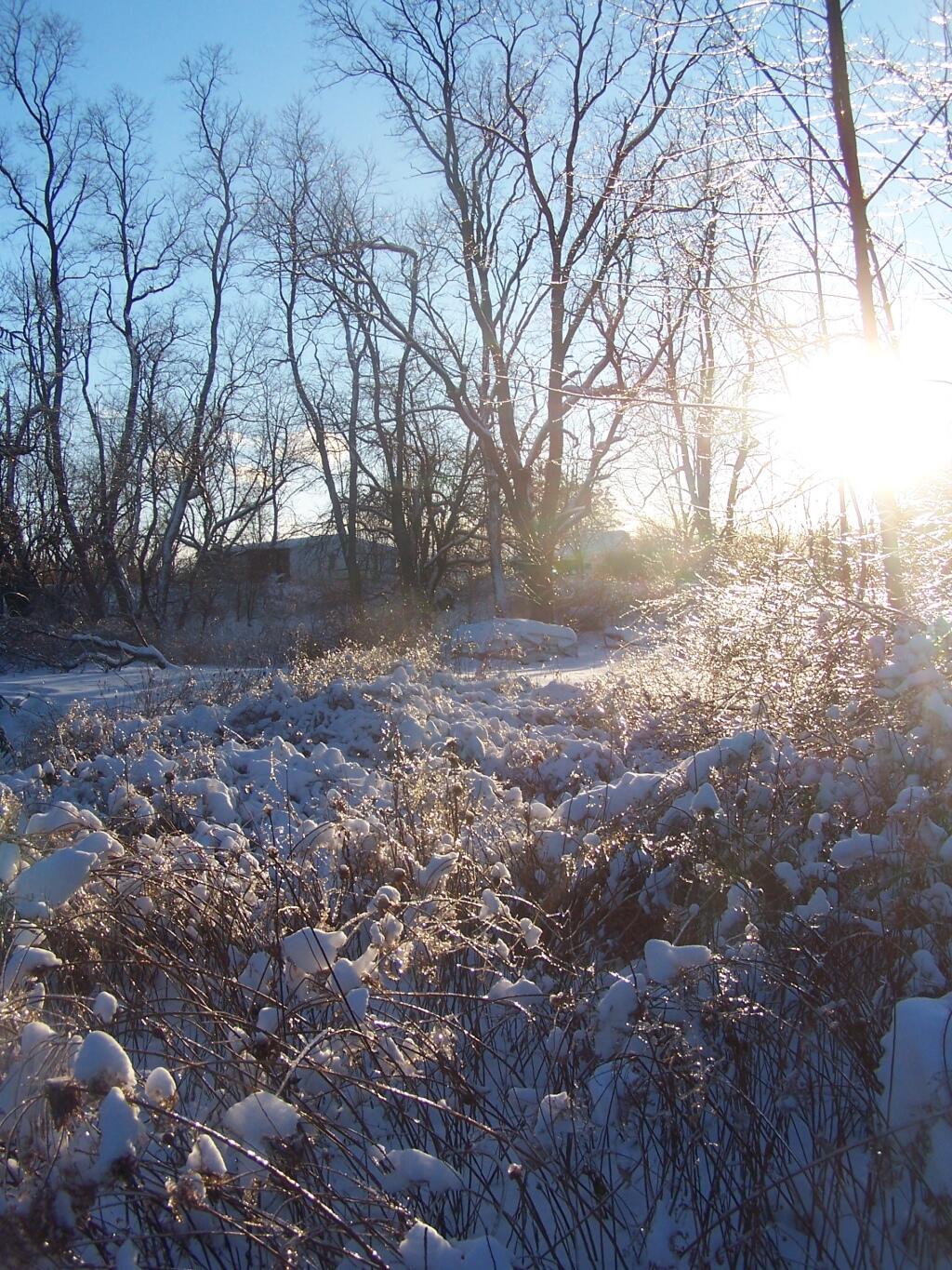 Photo: Sunlight Past the Barns