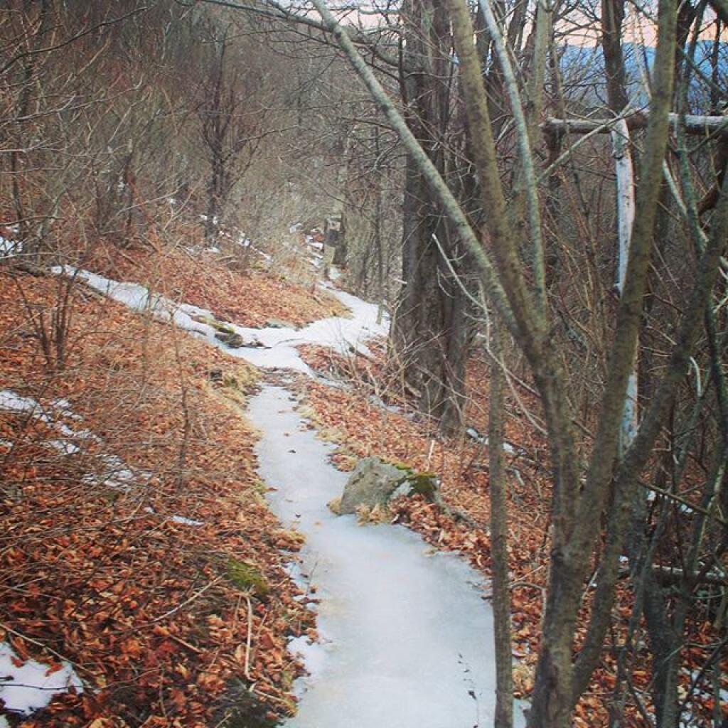 Photo: Not a lot of snow but crampons needed for the ice