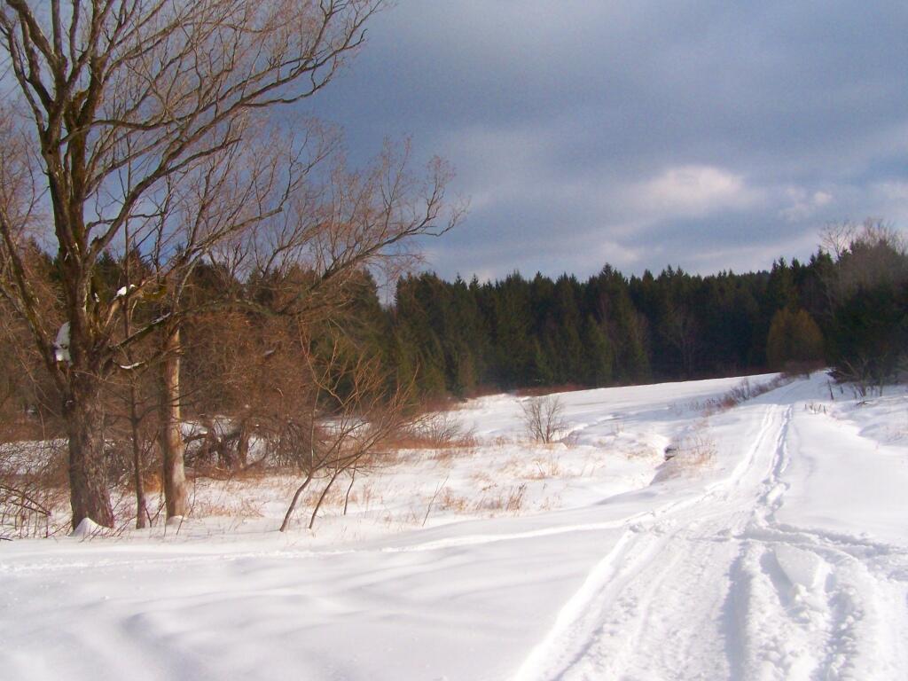 Photo: Frozen Ponds
