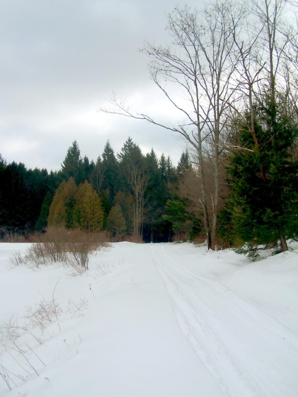 Photo: Unnamed Snowmobile Trail
