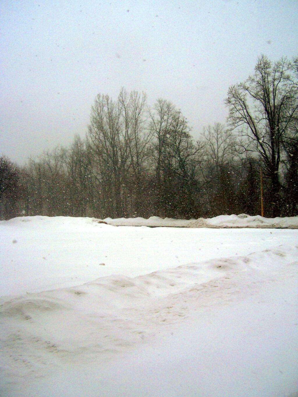 Photo: Heavy, Wet Snow Dropping Out of Sky