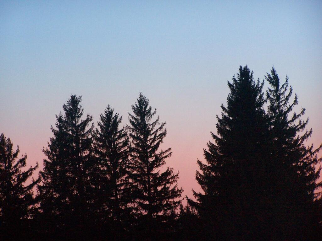Photo: After Dark