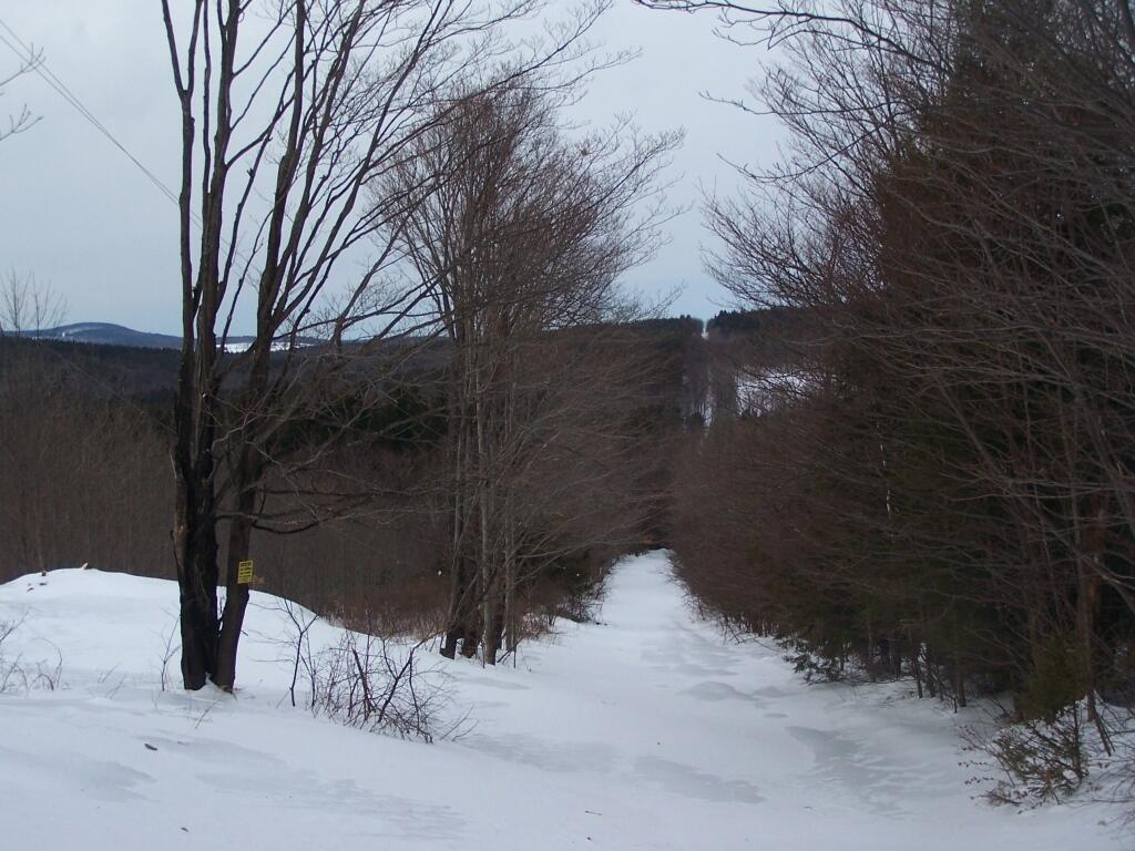 Photo: The Other Part of Shultes Road