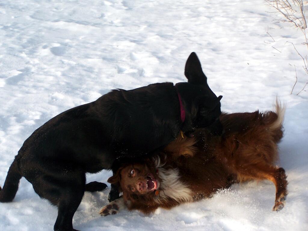 Photo: Abbie on Eli