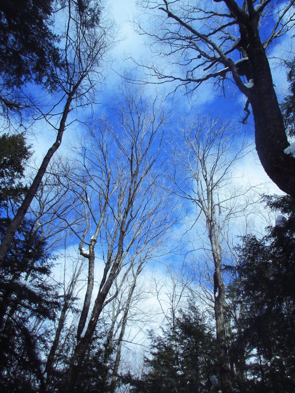 Photo: Break In The Clouds