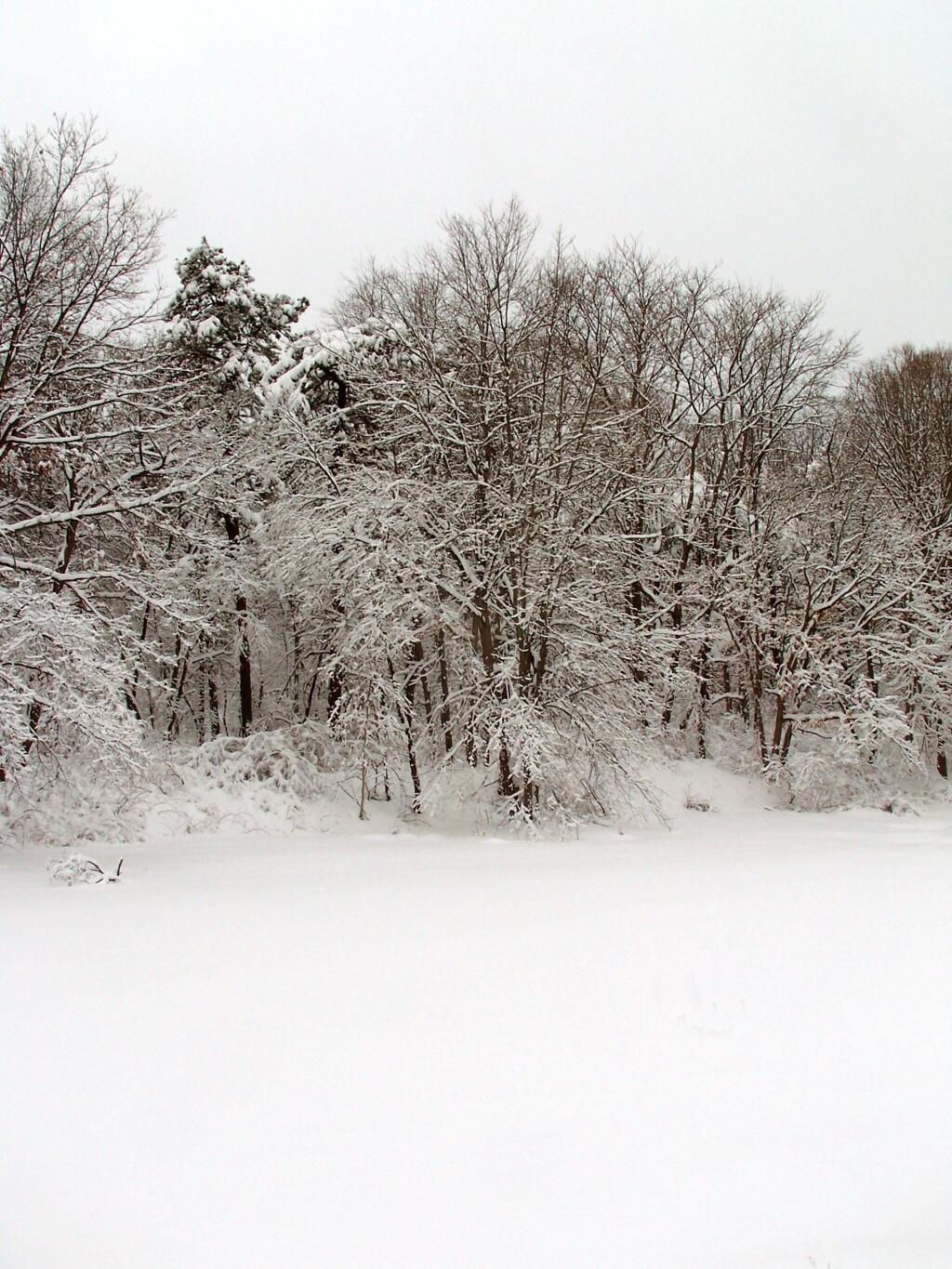 Photo: Pond