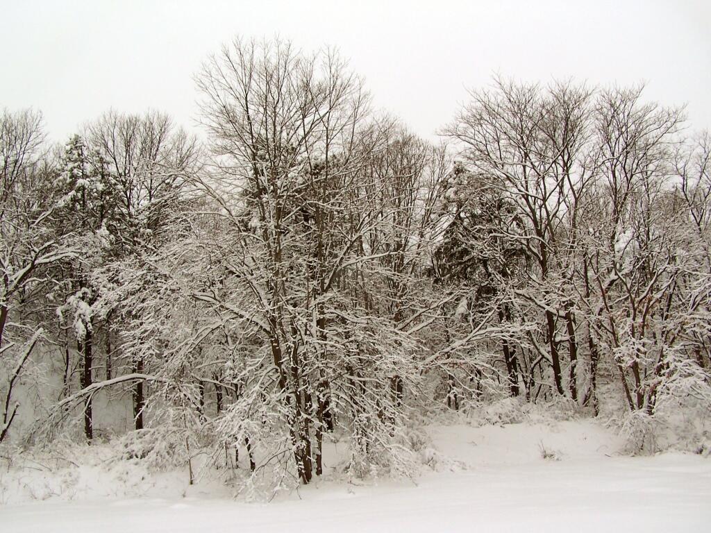 Photo: Winter Wonderland