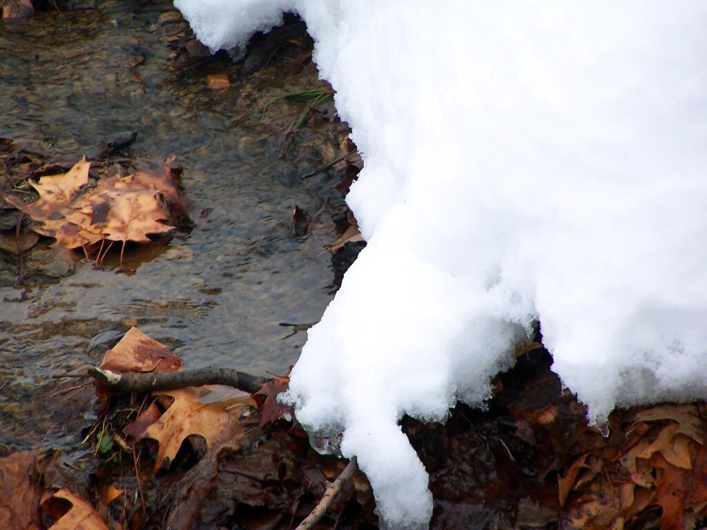 Photo: Watching the Snow Melt