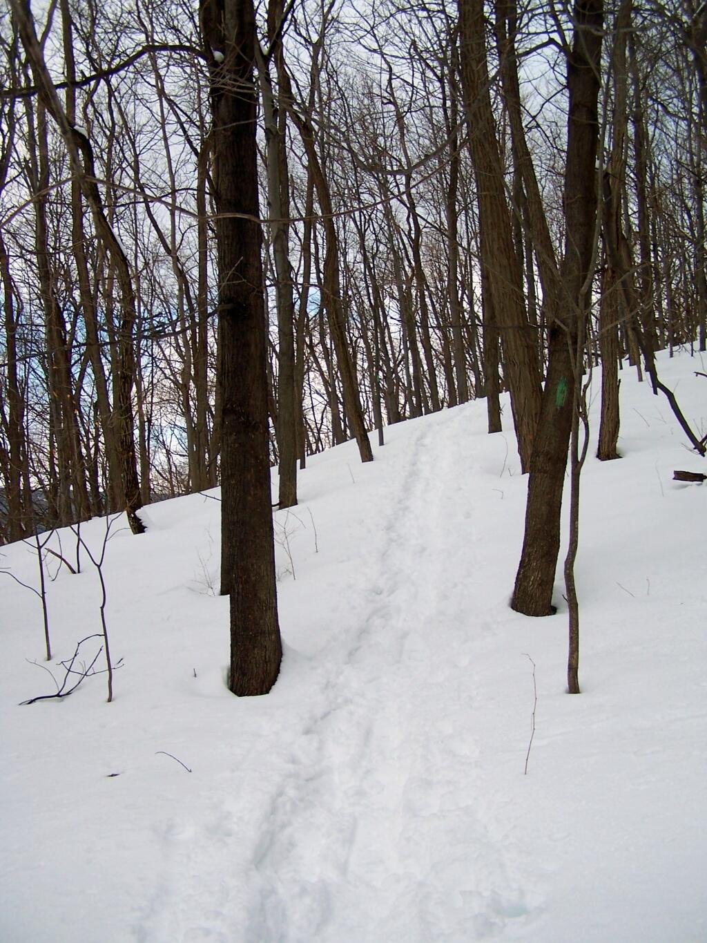 Photo: Snowshoeing Up Side Of Mountain