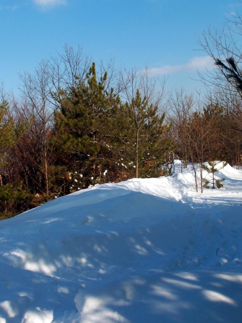 Photo: Snow Drifts