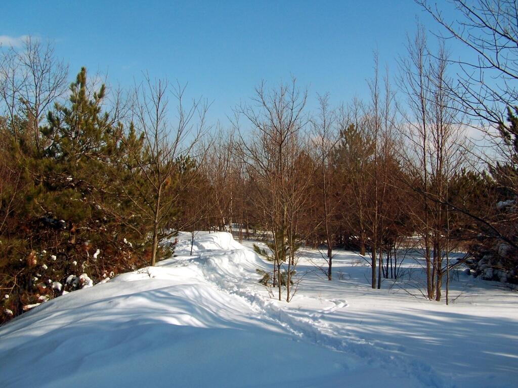 Photo: Snow Drifts on Hill Top