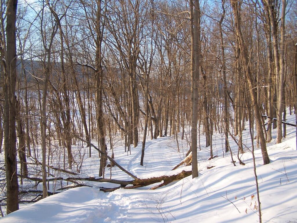 Photo: Descending Bennett Hill